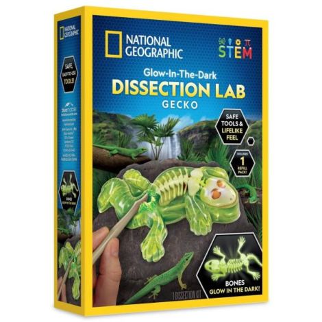 National Geographic - Kit creativ laborator de disectie soparla - imagine 7